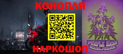 гашик Жуковский