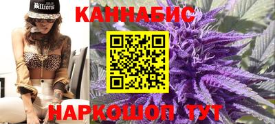 гашик Жуковский