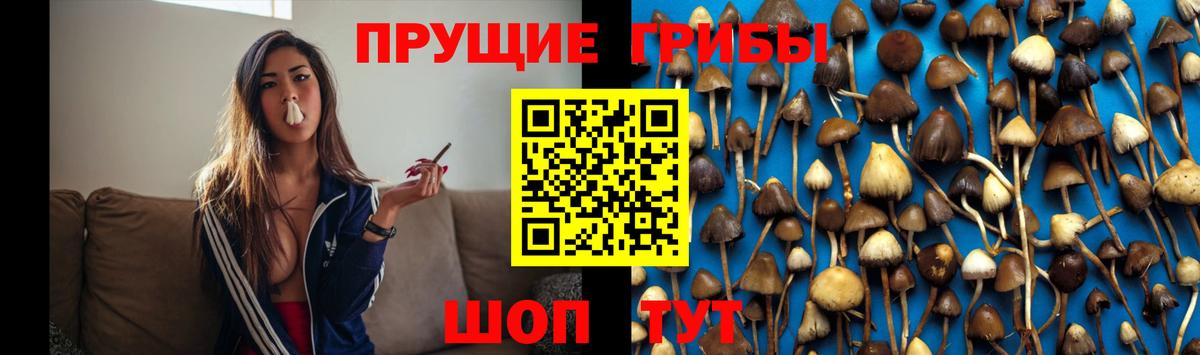 Ленинск-Кузнецкий  Псилоцибиновые грибы GOLDEN TEACHER  Вход с VPN 