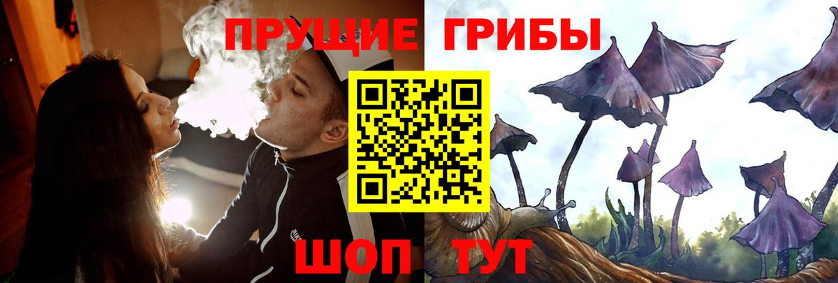 Псилоцибиновые грибы GOLDEN TEACHER Ленинск-Кузнецкий
